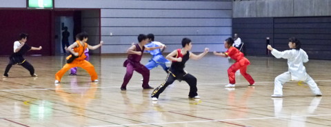 中国武術隊